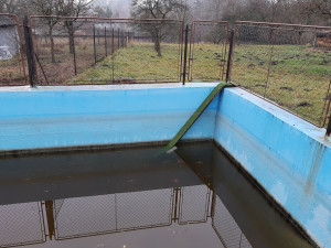 Betonové nádrže a bazény jsou pro zvířata smrtelnou pastí. Zachránit je může obyčejné prkno nebo rampa