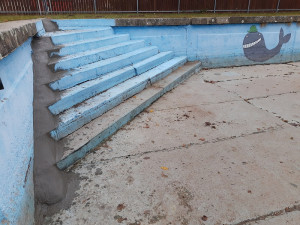 Betonové nádrže a bazény jsou pro zvířata smrtelnou pastí. Zachránit je může obyčejné prkno nebo rampa