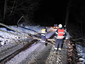 Meteorologové varují před silným větrem. Hasiči zasahují hlavně u popadaných stromů