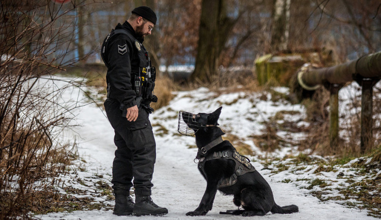 Dobrý služební pes vydá i za tři strážníky, říká psovod Pavel Šmudla