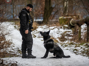 Dobrý služební pes vydá i za tři strážníky, říká psovod Pavel Šmudla