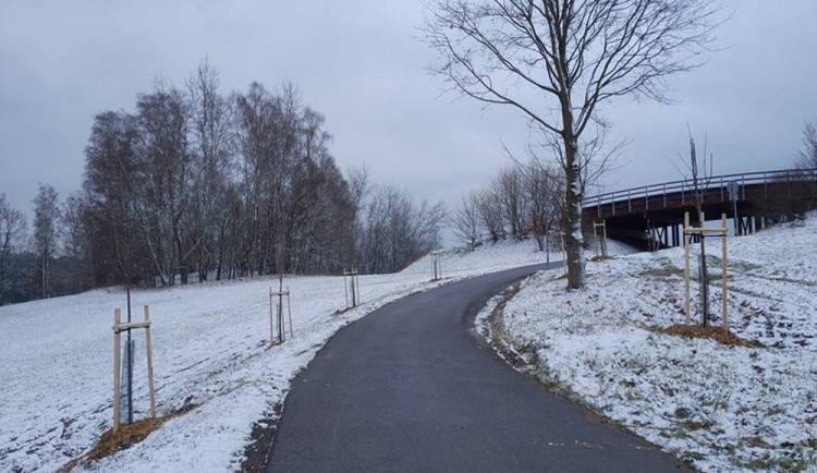 Liberec si pořídí tomograf pro dřeviny, slibuje si od něj úsporu nákladů