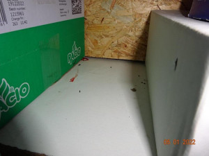 Špína a hlodavci. Inspekce uzavřela dvacítku prodejen. V prodejně ve Velkých Hamrech našla myší trus