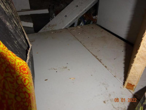 Špína a hlodavci. Inspekce uzavřela dvacítku prodejen. V prodejně ve Velkých Hamrech našla myší trus