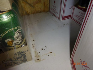 Špína a hlodavci. Inspekce uzavřela dvacítku prodejen. V prodejně ve Velkých Hamrech našla myší trus