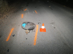 Řidič na Malé Skále nezvládl řízení, naboural do stromu