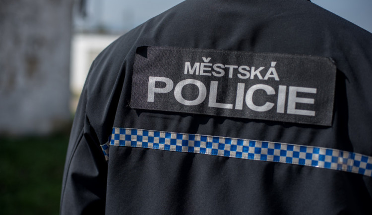 Matka malého dítěte s 2,2 promile napadla v restauraci jednoho z hostů. Její partner pak uhodil strážníka pěstí