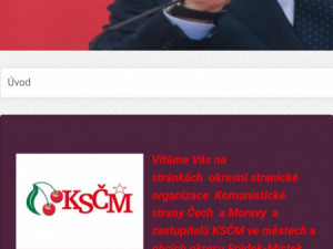 Rusové nás osvobodili, neměli bychom je kritizovat, píše česká dezinformační scéna