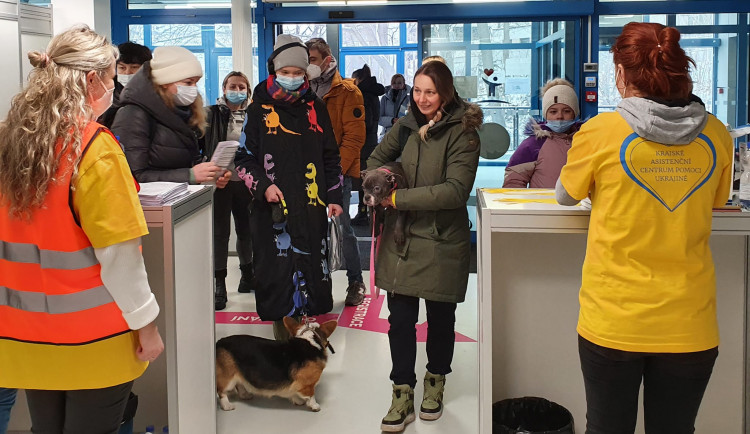Asistenční centrum v Liberci už jede. Jen v pátek pomohlo 122 ukrajinským uprchlíkům