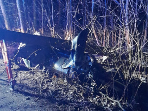Auto v Karlově vylétlo ze silnice a přerazilo strom, řidič skončil v nemocnici