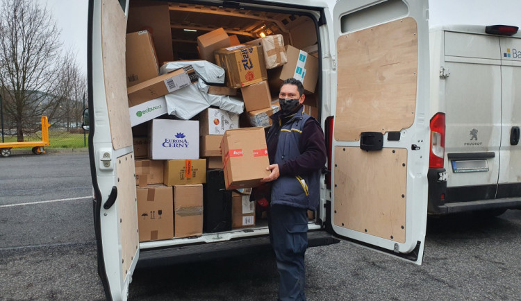 Muž čekal, až mu kurýr doveze štěně. Fiktivnímu psovi zaplatil i speciální přepravku