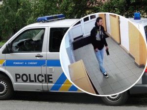 Zloděj vykradl sklepy v domě v Libušině ulici. Hledá ho policie