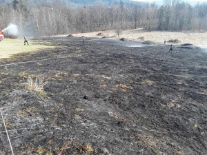 Hasiči v Libereckém kraji vyjížděli kolem poledne ke čtyřem požárům v přírodě