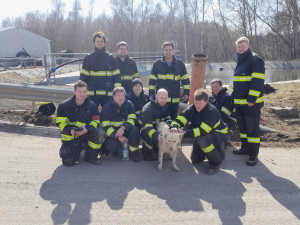 Pes spadl do požární nádrže, nakonec uvízl ve vtokové rouře a nemohl ven