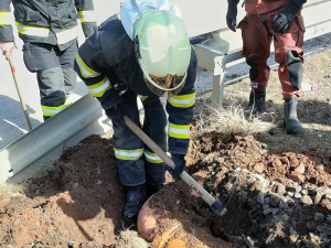 Pes spadl do požární nádrže, nakonec uvízl ve vtokové rouře a nemohl ven