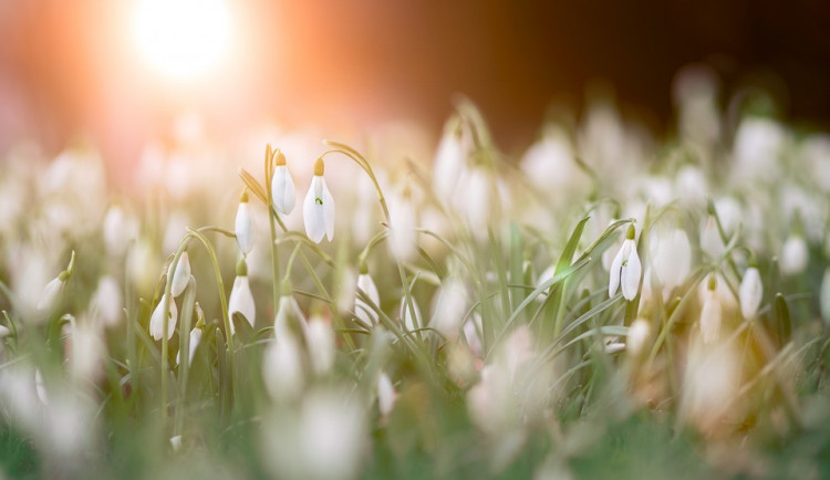 Začalo jaro. V dalších dnech tomu bude odpovídat i počasí