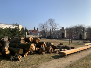 Kácení v Zahradě vzpomínek. Stromy jsou pryč, areál projde obnovou