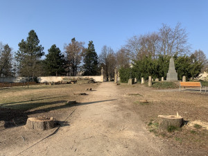 Kácení v Zahradě vzpomínek. Stromy jsou pryč, areál projde obnovou