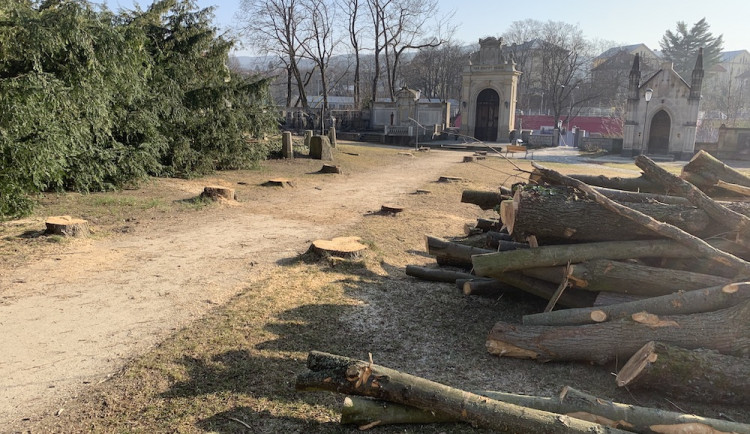 Kácení v Zahradě vzpomínek. Stromy jsou pryč, areál projde obnovou