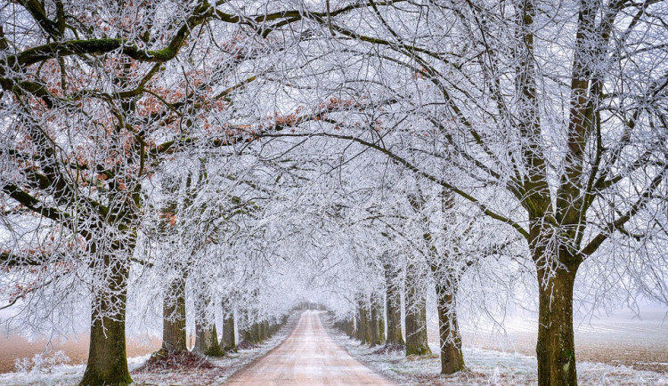 Jaro ještě nedorazí. Koncem týdne začne sněžit, naměříme čtyři stupně