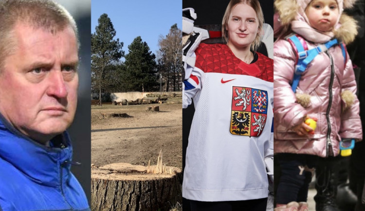 PŘEHLED: Přečtěte si, co se Liberecké Drbně v březnu povedlo