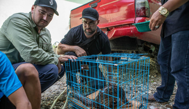 František Příbrský a Tomáš Ouhel kontrolují zabavená zvířata.
