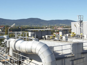 Pandemie covidu urychlila digitalizaci, říká vedoucí týmu Digital společnosti E.ON