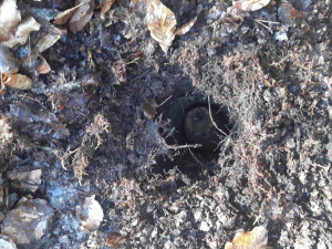 Granát připravený k likvidaci