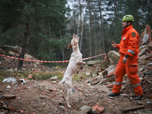 Pes je hlavně parťák, říká hasič a kynolog Václav Vančura. Letos přivezl bronz z mistrovství světa v mushingu
