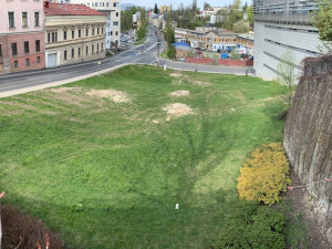 Jabloň ve skleněném tubusu. Pod knihovnou má vyrůst památník policistům, kteří zemřeli ve službě