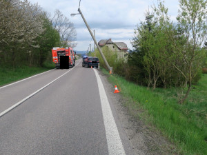 Řidičce vletěla do auta včela. Za nabourání do sloupu dostala žena pokutu
