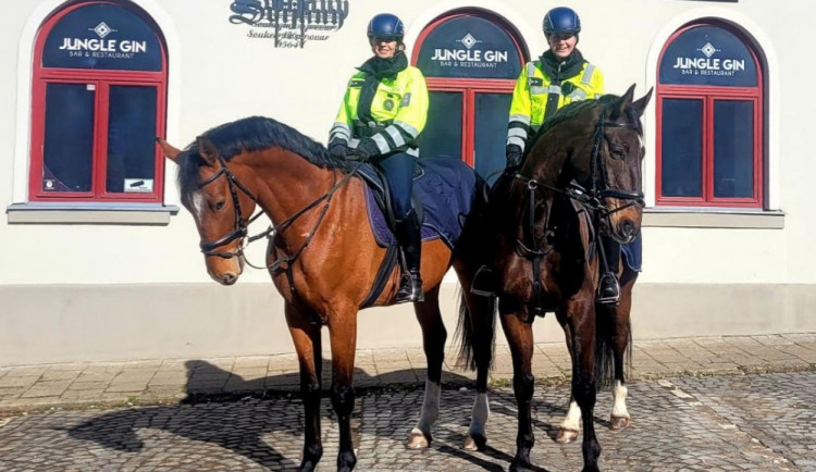 Jeden kůň budí větší respekt než deset policistů na zemi, říká vedoucí oddělení jízdní policie ve Frýdlantu