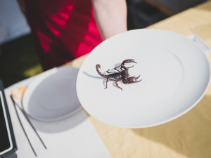 Prima FRESH festival v Liberci nabídne Oscarové delikatesy a živé koncerty