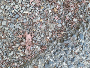 Úlomky v areálu školky po neodborném očištění střechy