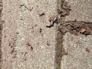 Úlomky v areálu školky po neodborném očištění střechy