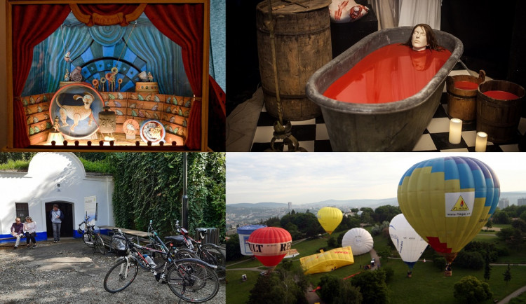 Kam o víkendu na jižní Moravě? Po vinařských stezkách i na slet balónů