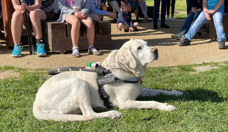 282092228_2124084944439602_8514106586349133255_n