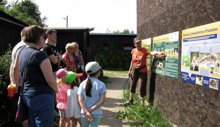Komentované prohlídky ARCHA