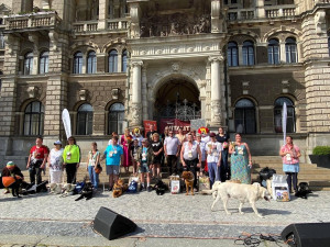 Orientace v prostoru i poslušnost. Vodící psi soutěžili před radnicí