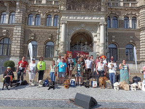 Orientace v prostoru i poslušnost. Vodící psi soutěžili před radnicí