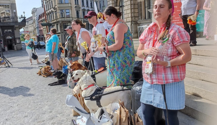 Orientace v prostoru i poslušnost. Vodící psi soutěžili před radnicí