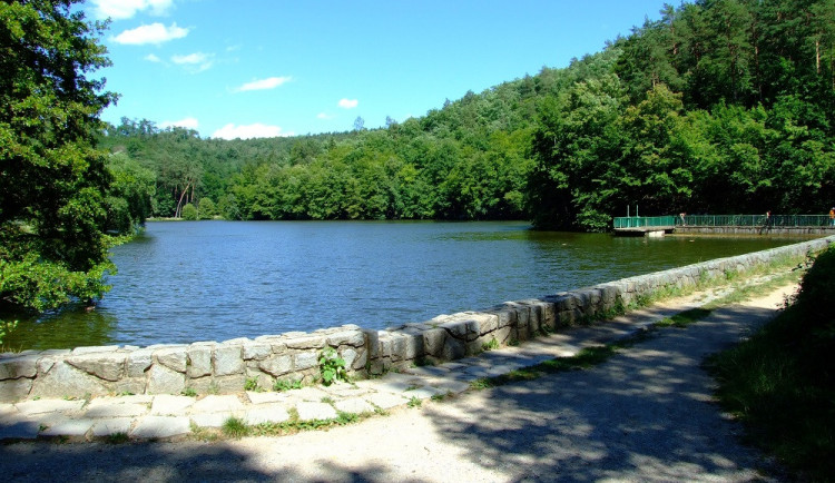 Cizinci v Brně lovili z rybníka chráněné škeble po kilech