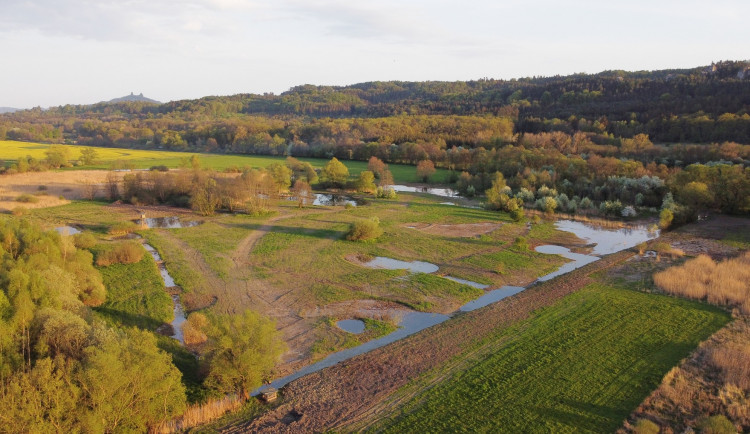 V Českém ráji obnovili ochránci přírody Sedmihorské mokřady na šesti hektarech půdy.