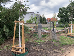 Proměna Zahrady vzpomínek. Nová lipová alej, obnovy se dočkal kříž s Kristem