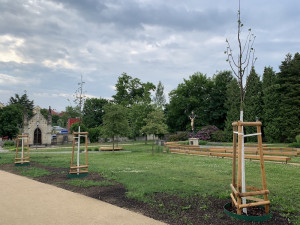 Proměna Zahrady vzpomínek. Nová lipová alej, obnovy se dočkal kříž s Kristem