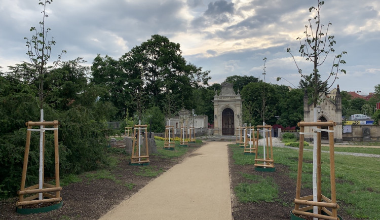 Proměna Zahrady vzpomínek. Nová lipová alej, obnovy se dočkal kříž s Kristem