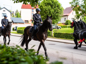 Svátku koní na Semilsku se zúčastnila i liberecká jízdní policie. V čele průvodu nesla prapory