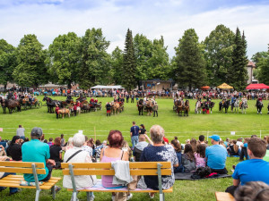 Svátku koní na Semilsku se zúčastnila i liberecká jízdní policie. V čele průvodu nesla prapory