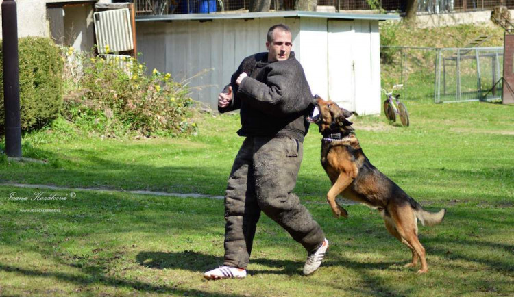 Velká cena Městské policie. Po dvouleté pauze se vrací soutěž služebních psů