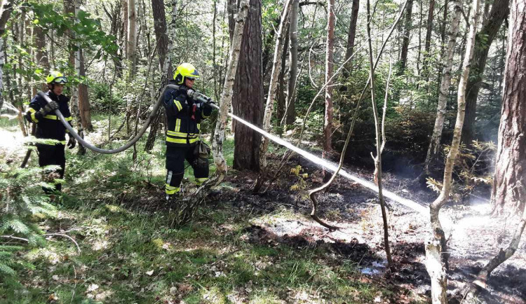 Přibývá požárů v přírodě. Hasiči mají během neděle řadu výjezdů